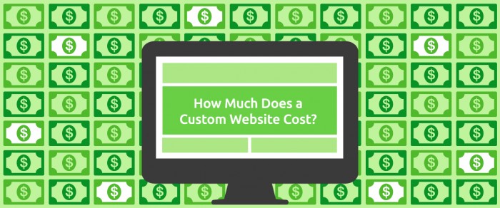 What Should My Website Budget Be